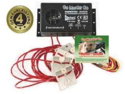 M250316mit6Plaettchen